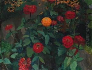 Zinnias In A Garden Zinnias In A Garden