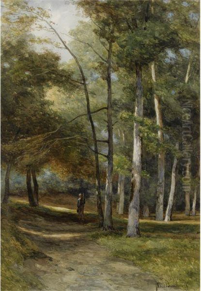 'in Het Bloemendaalsche Bosch' - Bloemendaal Forest - view 1