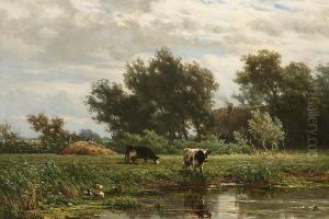 The Meadow The Meadow