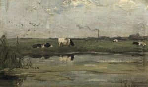Cows In A Meadow Cows In A Meadow