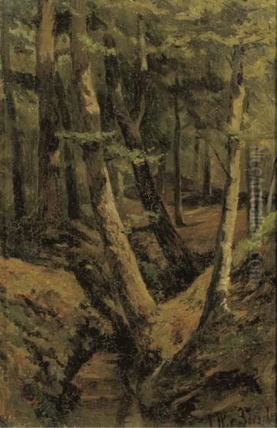 The Forest Stream - view 1