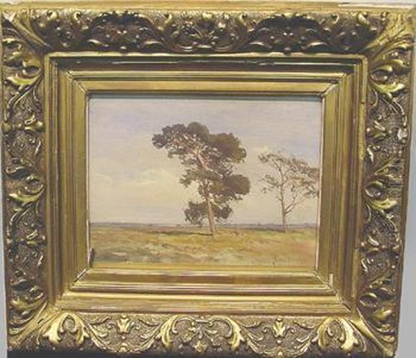 Tree In Landscape - view 1