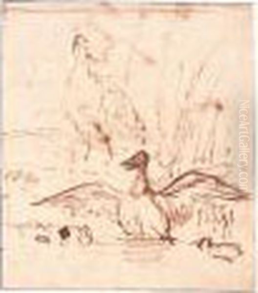 : Two Ducks And Three Ducklings - view 1