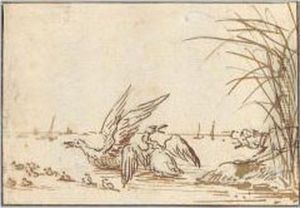 A Dog Chasing A Family Of Ducks. by Anthonie Van Borssom