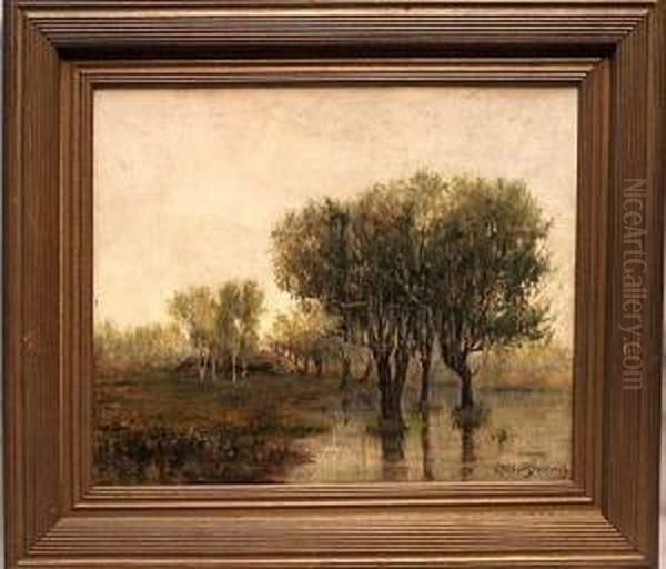 Trees In A Flooded Field - view 1