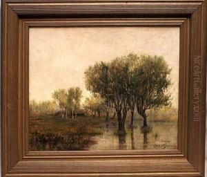 Trees In A Flooded Field by Robert Ward Van Boskerck