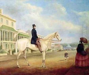 Rider on a white horse probably in Macquarie Street North Rider on a white horse probably in Macquarie Street North