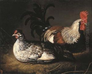 A Cockerel And A Hen