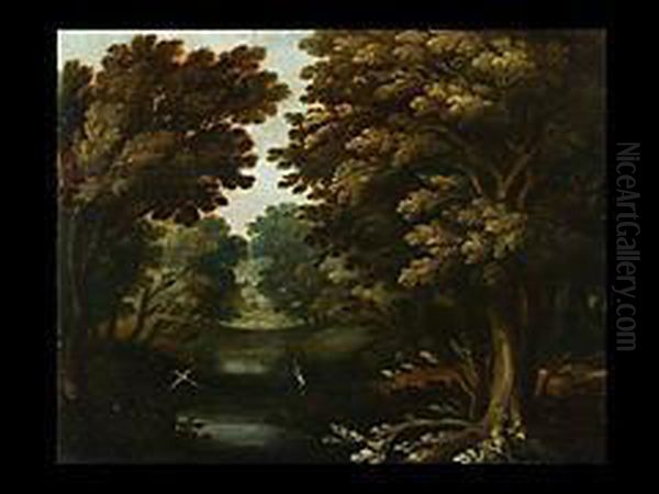 Waldlandschaft Mit Vogeln - view 1