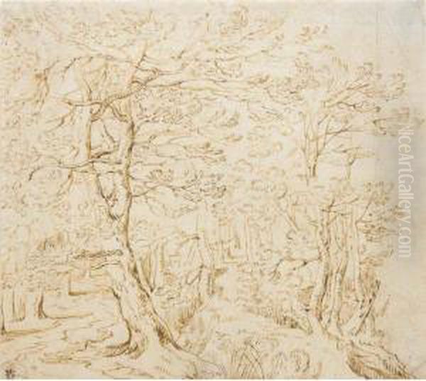 Woodland Trees - view 1