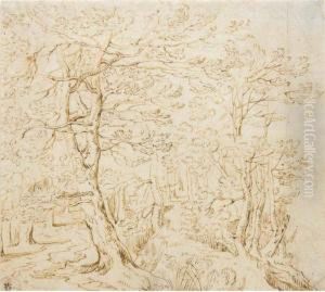Woodland Trees Woodland Trees