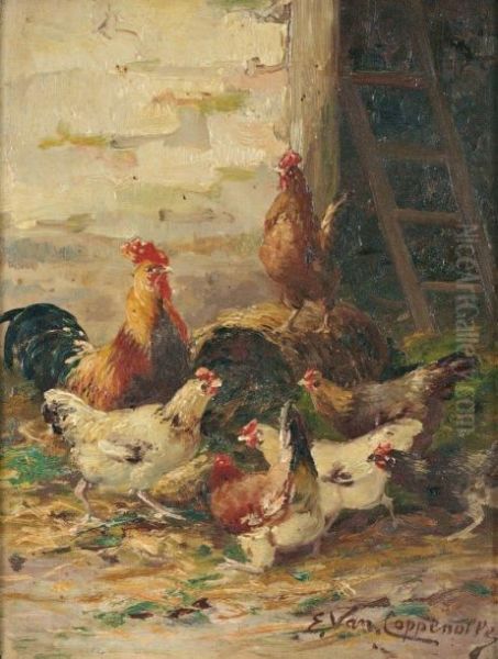 Coqs Et Poules - view 1