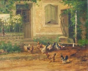 Gallinas En El Patio
