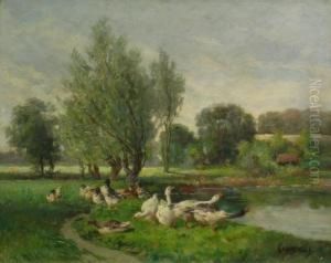 Geese On The Bank Of A Pond by Jacques Van Coppenolle