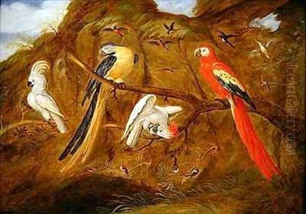A scarlet blue and gold macaw with cockatoos and other birds in a landscape - view 1