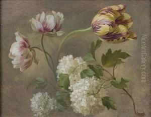 Etude De Tulipes Et Hortensias