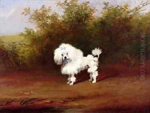 A Toy Poodle in a Landscape by Frederick French