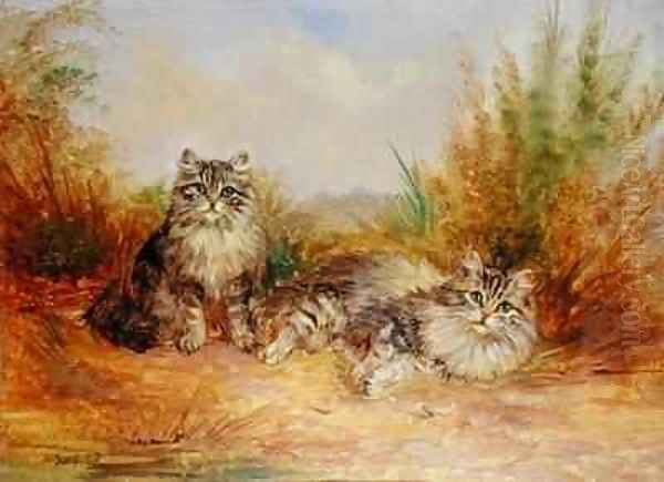 Two Tabby Kittens in a Rural Landscape - view 1