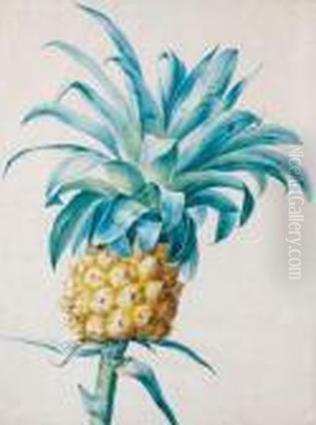 Un Ananas - view 1