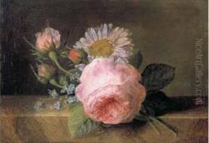 Roses, Marguerite Et Myosotis Sur Un Entablement De Marbre by Jan Frans Van Dael