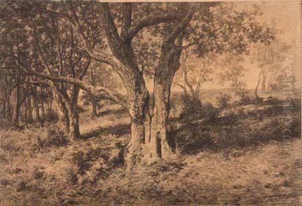 Clairiere Avec Arbre - view 1