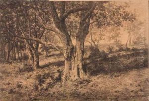 Clairiere Avec Arbre by Frans Van Damme