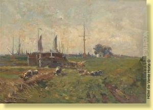 Vaches En Bordure De Canal