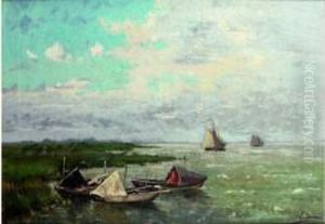 Sur Les Bords Des Marais