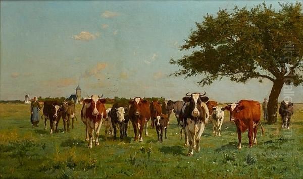 Cattle In A Meadow - view 1