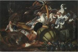 A Still Life With Ducks, Pigeons, A Dead Turkey, Figs And Melons by Jacob van der (Giacomo da Castello) Kerckhoven