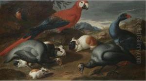 A Still Life With Guinea Pigs, A Parrot And Other Exotic Birds by Jacob van der (Giacomo da Castello) Kerckhoven