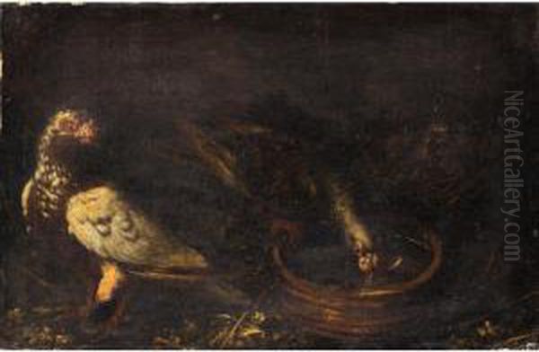 Still Life With Pigeons Drinking From A Bowl - view 1