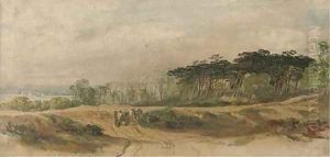 On Hampstead Heath
