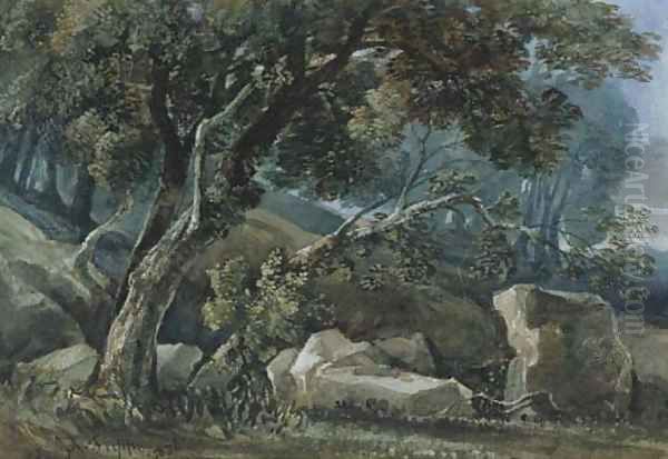 View through a wooded landscape - view 1