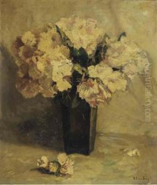 Rhodondendrons - view 1