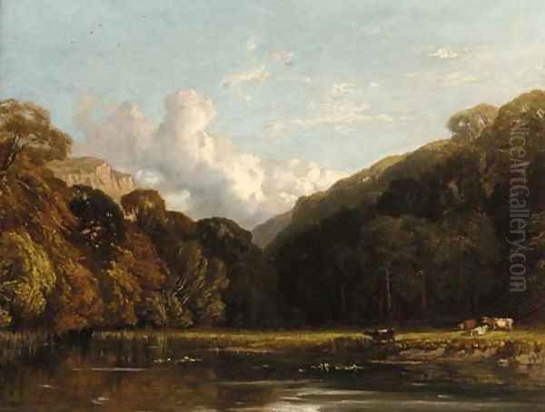 Cattle watering in a wooded landscape - view 1