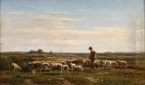 Weidelandschaft Mit Schafen. by Simon Van Den Berg