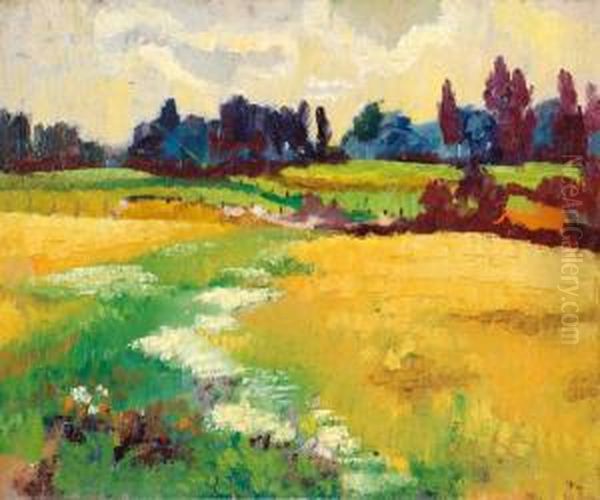 Landscape - view 1