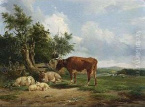An Extensive Landcape With Cattle Resting