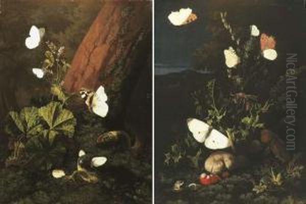 A Forest Floor Still Life With 
Butterflies And Snails, A Landscape Beyond; And A Forest Floor Still 
Life With Butterflies And Lizards - view 1