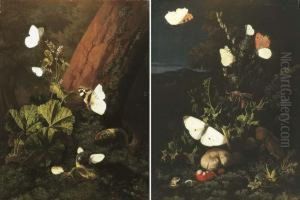 A Forest Floor Still Life With
Butterflies And Snails, A Landscape Beyond; And A Forest Floor Still
Life With Butterflies And Lizards by Carl Wilhelm de Hamilton