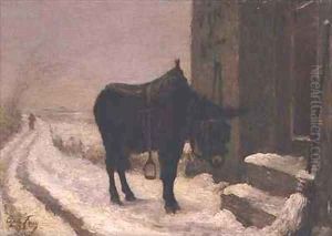 Donkey in the snow