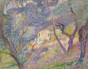 Maisons Entre Les Oliviers