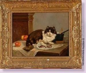 Le Chat Devant La Charcuterie