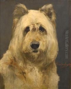 Portrait Of A Dog