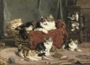 A Lively Litter