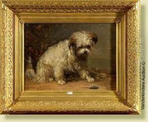 Le Chien Et La Souris