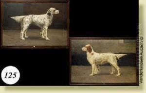 Portraits De Chien