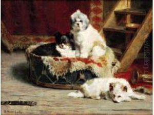 Trois Chiens De Cirque