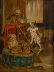 Theatre Canin by Charles van den Eycken